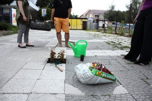 Vysádzanie kvetín v meste