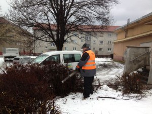 Kontrola opiľovania krovín a živých plotov