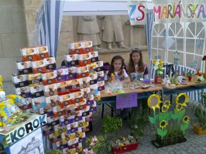 Ekorok 2013