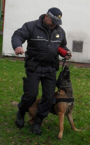 Mestskí policajti v MŠ
