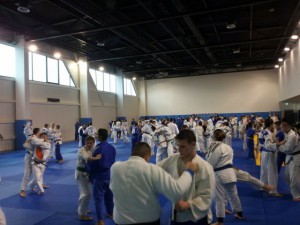 Prievidzským Sokolom sa na tatami opäť darilo