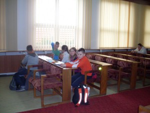 Súťaž  „ MLADÝ ZÁHRADKÁR 2014“