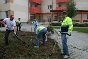 Podaj ruku 2014: Deň dobrovoľníctva Skanska 