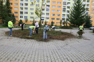 Podaj ruku 2014: Deň dobrovoľníctva Skanska 