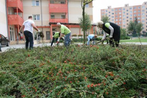 Podaj ruku 2014: Deň dobrovoľníctva Skanska 