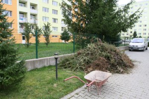 Podaj ruku 2014: Deň dobrovoľníctva Skanska 