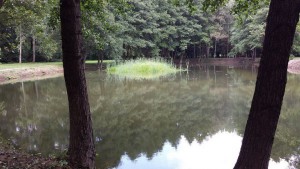 Súťaž o najkrajšie mesto Slovenska