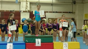 Ďalšie majstrovské tituly  pre rok 2014  putovali do Prievidze