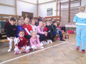 Ďalšie majstrovské tituly  pre rok 2014  putovali do Prievidze