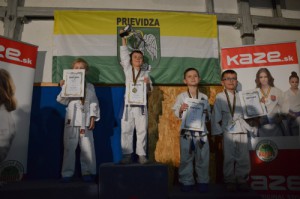 Karatisti súťažili o pohár riaditeľky CVČ