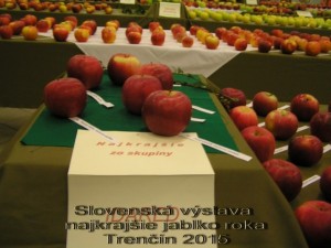 Celoslovenská súťaž o najkrajšie jablko roku 