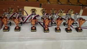 Preteky v športovej gymnastike v mestskej športovej hale