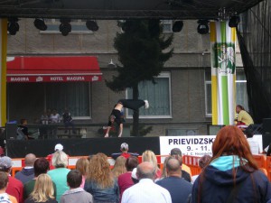 Prievidzský jarmok v obrazoch