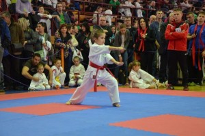 Športová škola karate Prievidza opäť najlepšia na Slovenskom pohári