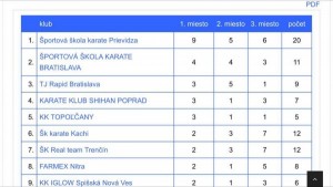 Excelentná sezóna Športovej školy karate