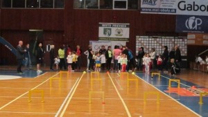 Jubilejný XX. ročník letnej olympiády detí materských škôl v Prievidzi
