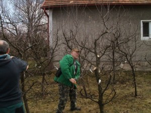 Záhradkari súťažili v reze stromčekov