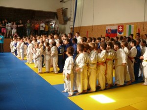 Mesto Prievidza opäť finančné podporí viacero športových klubov