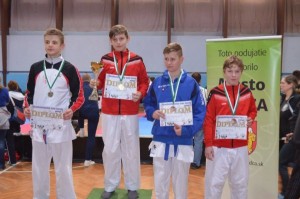 Karate Grand Prix 2017 