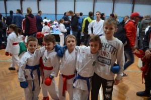 Karate Grand Prix 2017 