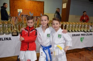 Karate Grand Prix 2017 