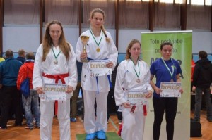 Karate Grand Prix 2017 