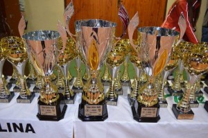 Karate Grand Prix 2017 