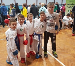 Karate Grand Prix 2017 