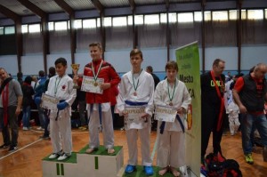 Karate Grand Prix 2017 