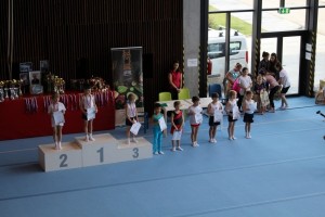 Majstrovstvá SR v športovej gymnastike mužov. v Šamoríne