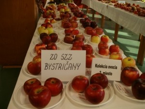 Okresná výstava ovocia a zeleniny