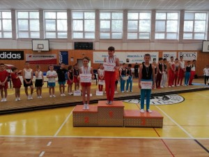 Banskobystrické gymnastické dni v športovej gymnastike