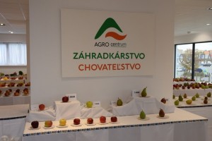 Tradičná okresná výstava ovocia, zeleniny a kvetov