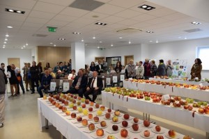 Tradičná okresná výstava ovocia, zeleniny a kvetov