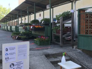 Trhovisko na Hviezdoslavovej ulici otvorené