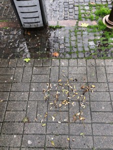 Kôš na cigaretové ohorky opäť na Námestí slobody