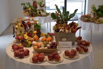 Tradičná okresná výstava ovocia, zeleniny a kvetov